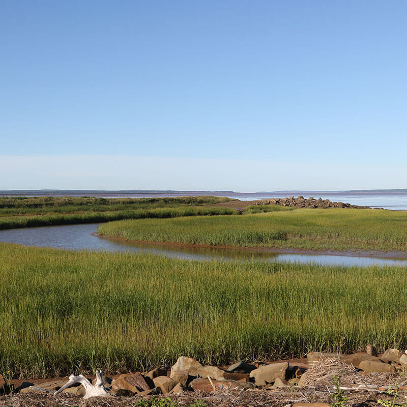 https://pee.atlantique.kyo.ovh/wp-content/uploads/2023/04/falaises-de-fundy.jpg
